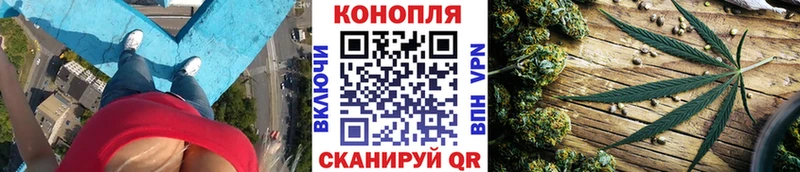 Бошки Шишки сатива  где продают наркотики  Торопец 